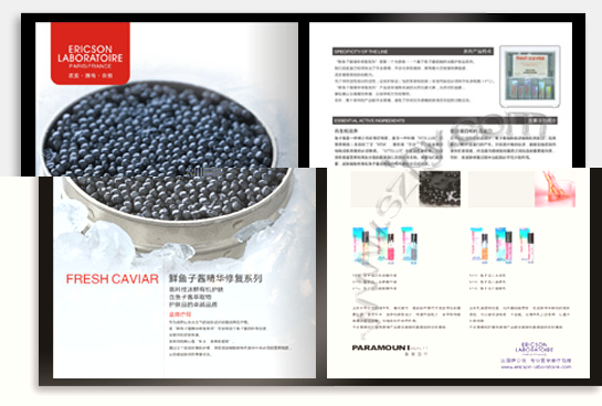 項(xiàng)目：企業(yè)宣傳畫(huà)冊(cè) 行業(yè)：信息管理