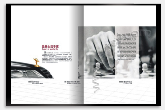 項(xiàng)目：企業(yè)宣傳畫冊(cè) 行業(yè)：地產(chǎn)投資