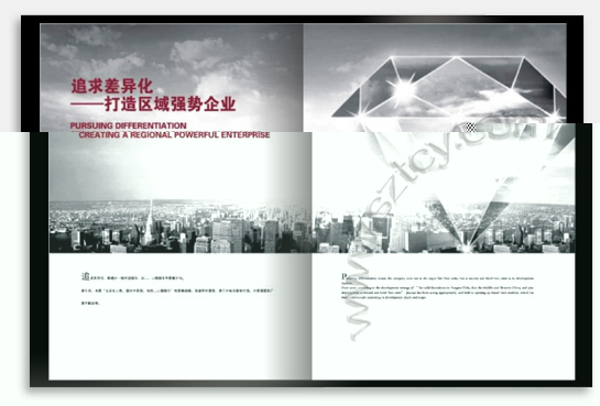 項(xiàng)目：企業(yè)宣傳畫冊(cè) 行業(yè)：地產(chǎn)投資