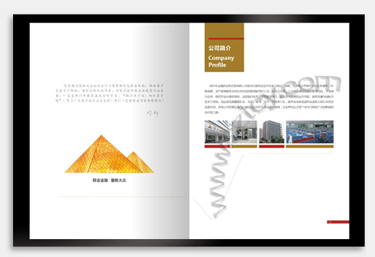 項(xiàng)目：產(chǎn)品宣傳畫(huà)冊(cè) 行業(yè)：光電科技